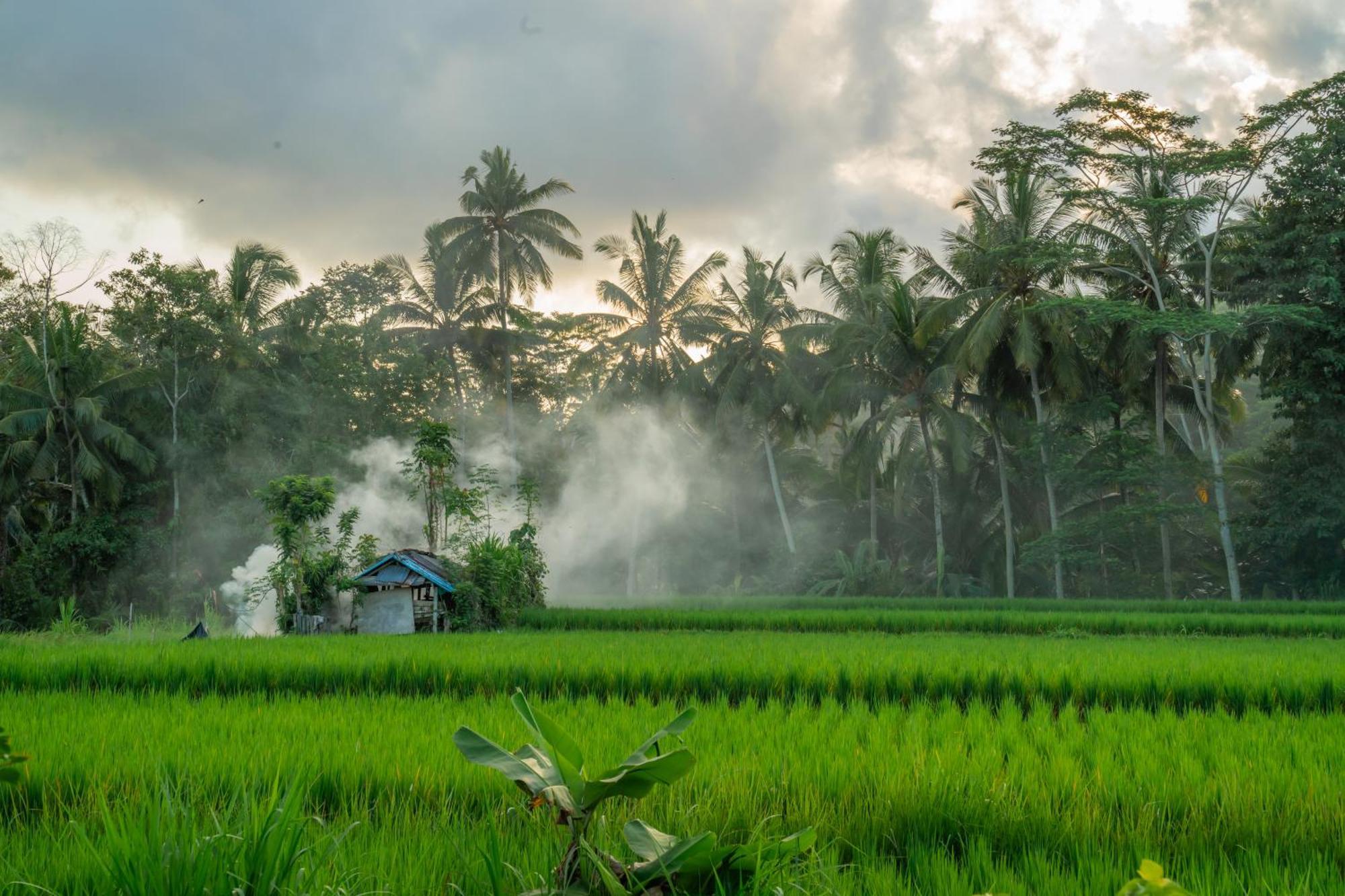 Kampung Uma Dawa Villas And Spa Убуд Экстерьер фото