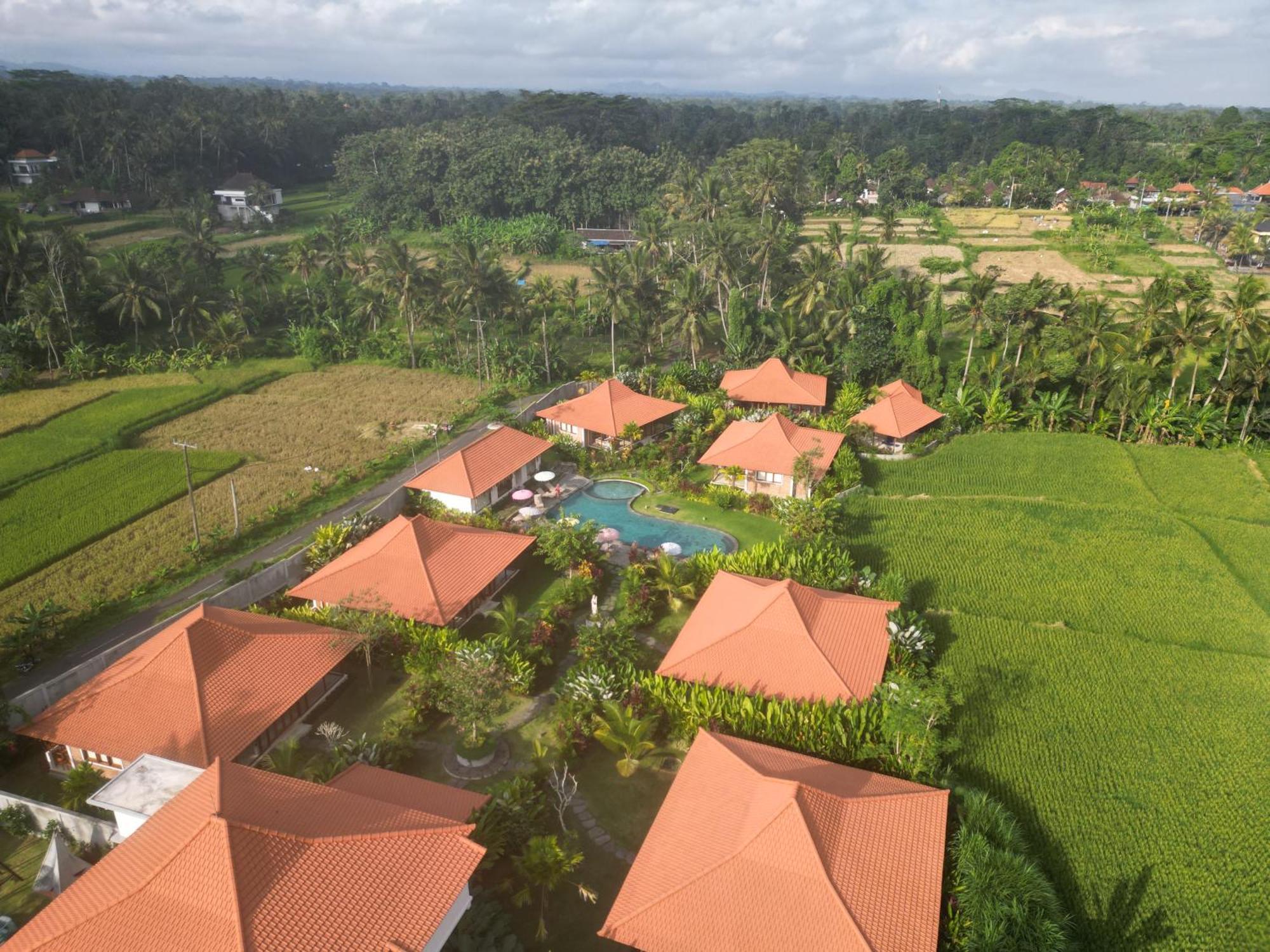 Kampung Uma Dawa Villas And Spa Убуд Экстерьер фото